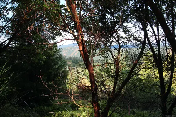 Lot 29 Goldstream Heights Dr, Shawnigan Lake, BC V0R 2L0