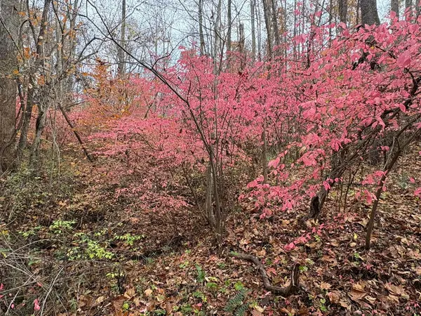 Amherst, VA 24521,99 Richmond HWY #C