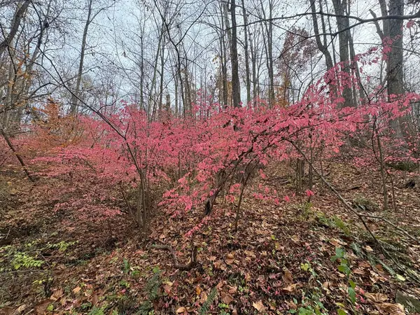 Amherst, VA 24521,99 Richmond HWY #C