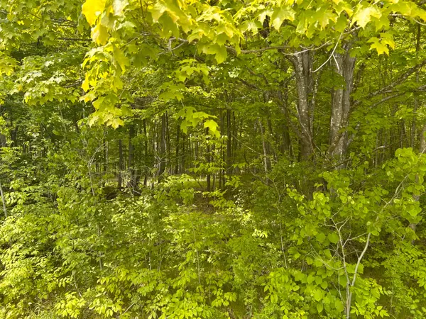 Drummond/north Elmsley, ON K7C 4K8,00 EBBS BAY RD