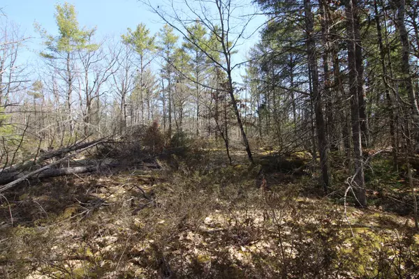 Trent Lakes, ON K0L 1J0,LOT 15 Concession 9 N/A