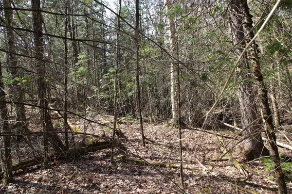Trent Lakes, ON K0L 1J0,LOT 15 Concession 9 N/A