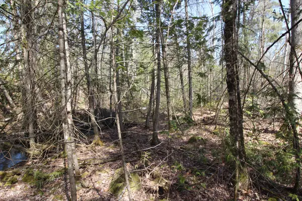 Trent Lakes, ON K0L 1J0,LOT 15 Concession 9 N/A