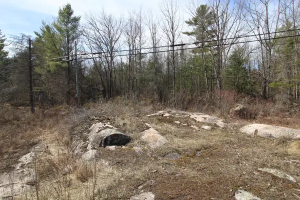 Trent Lakes, ON K0L 1J0,LOT 15 Concession 9 N/A