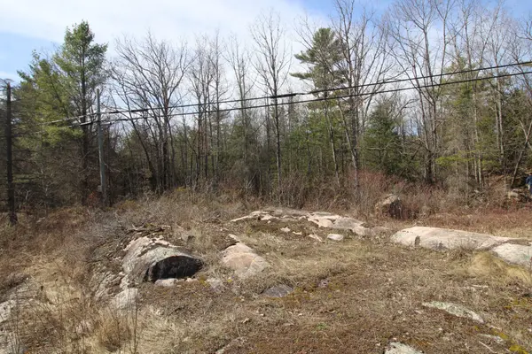 Trent Lakes, ON K0L 1J0,LOT 15 Concession 9 N/A