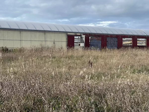 Prince Edward County, ON K0K 2T0,248, 271 County Rd 20 RD