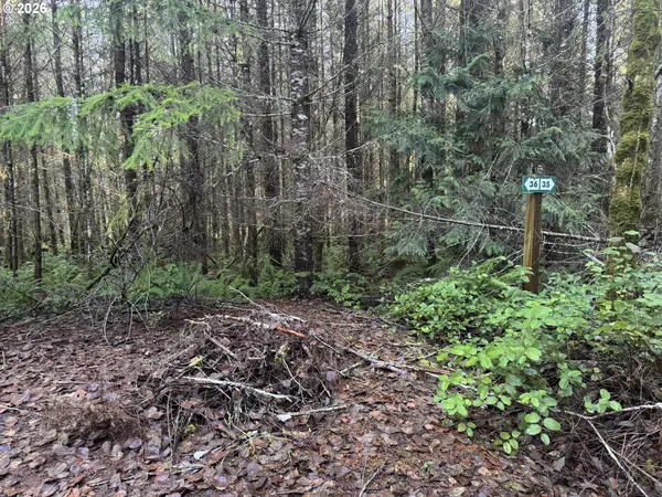 Toutle, WA 98649,233 SHY BEAR RD