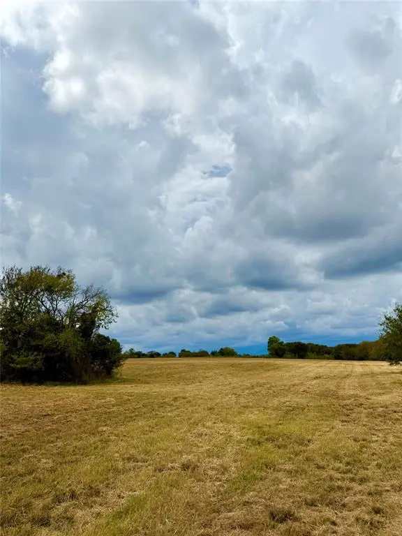 Wills Point, TX 75169,TBD Lot 12 County Road 3811