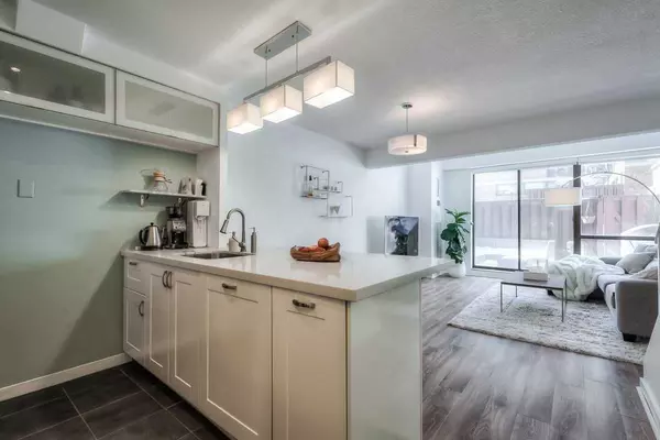 Toronto C01, ON M5T 2X5,60 St Patrick ST #233