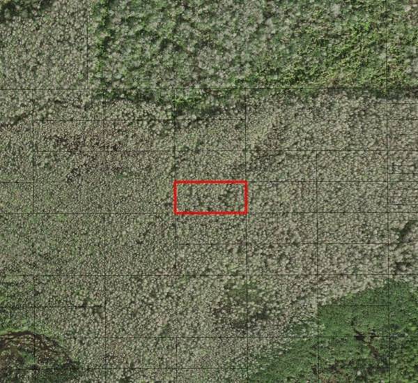 0 HOLOPAW GROVES RD, St. Cloud, FL 34772