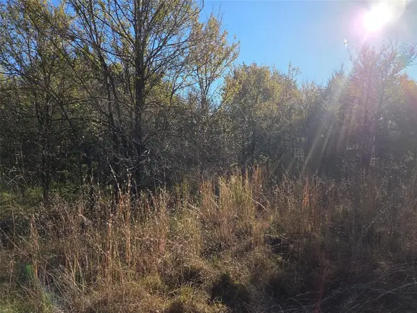 Corsicana, TX 75109,Lot 20 Sunrise W
