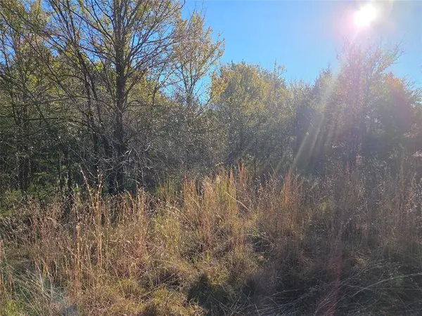 Corsicana, TX 75109,Lot 20 Sunrise W