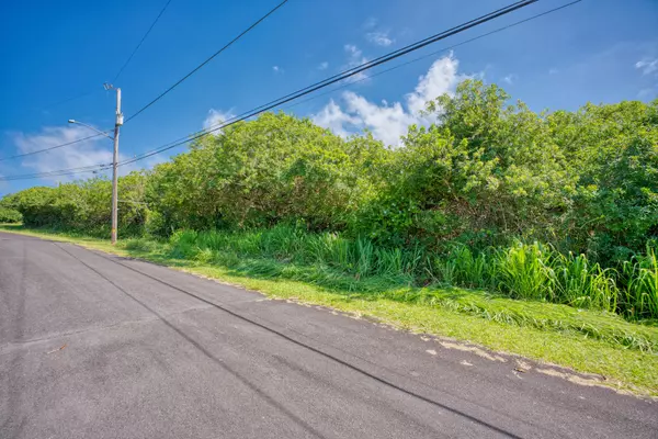 Naalehu, HI 96772,94-1691 KAULUA ST