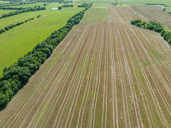 Blossom, TX 75416,4085 S FM 196