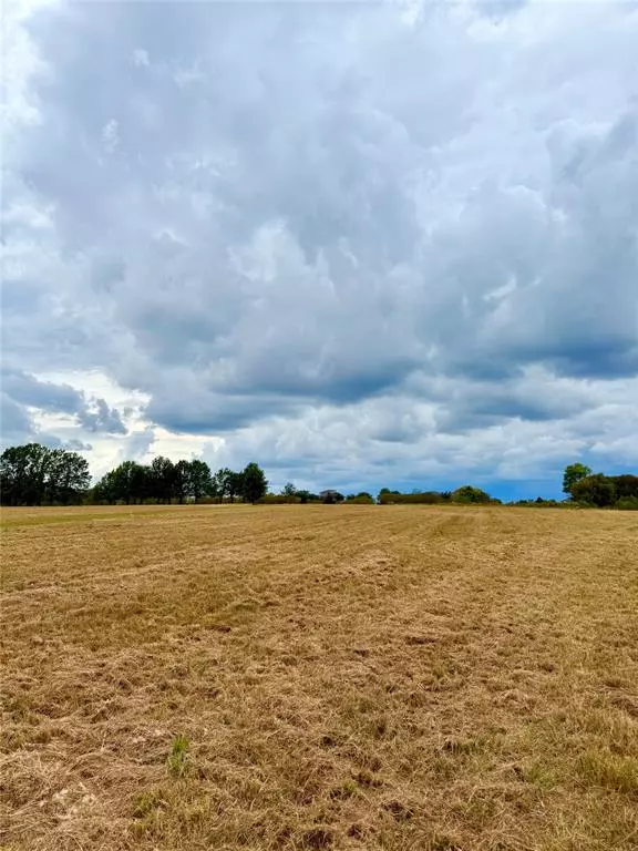 Wills Point, TX 75169,TBD Lot 11 County Road 3811