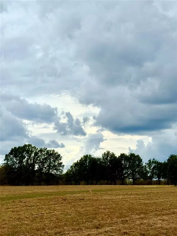 Wills Point, TX 75169,TBD Lot 11 County Road 3811