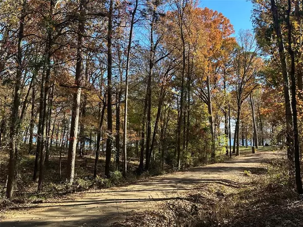 N/A Lot 58 County Road 2938, Mount Pleasant, TX 75455