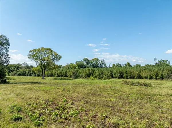 Bagwell, TX 75412,TBD CR 2142