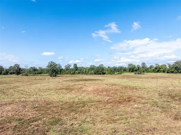 Bagwell, TX 75412,TBD CR 2142