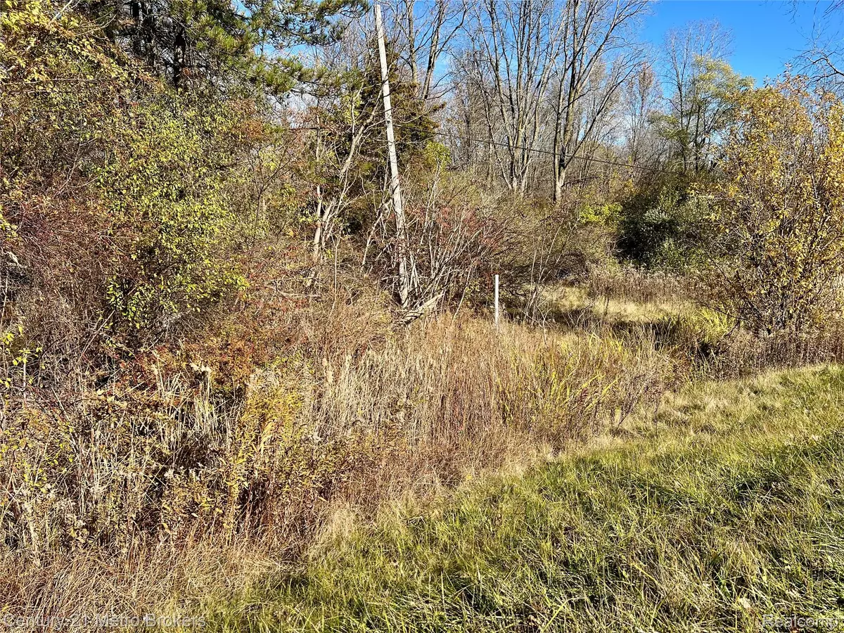 Swartz Creek, MI 48473,0 N Corunna RD