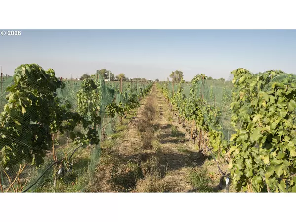 Milton Freewater, OR 97862,52201 COUNTY RD