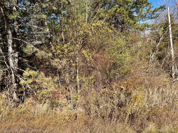 Swartz Creek, MI 48473,0 N Corunna RD