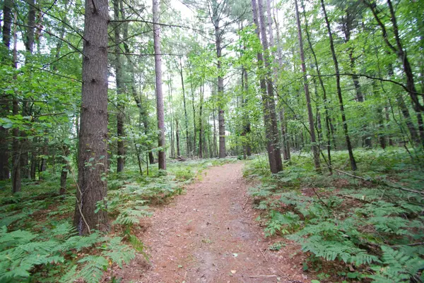 Alger, MI 48610,2782 River RDG