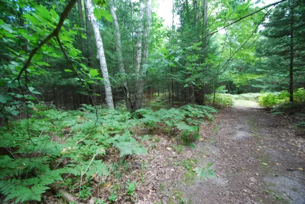 Alger, MI 48610,2782 River RDG