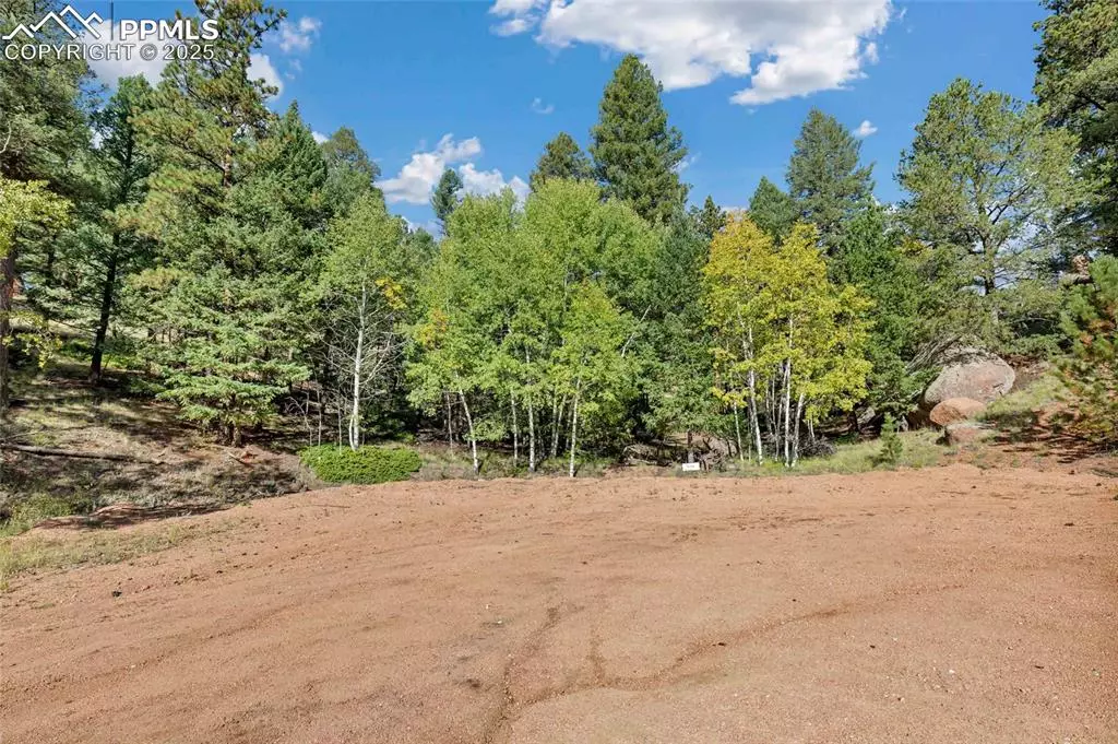 Florissant, CO 80816,926 Pinon LN
