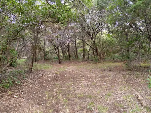 China Spring, TX 76633,TBD Woodland Circle