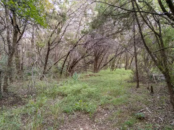 China Spring, TX 76633,TBD Woodland Circle