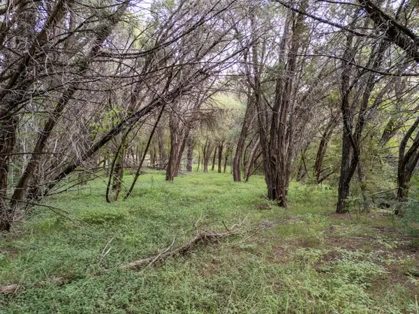 China Spring, TX 76633,TBD Woodland Circle