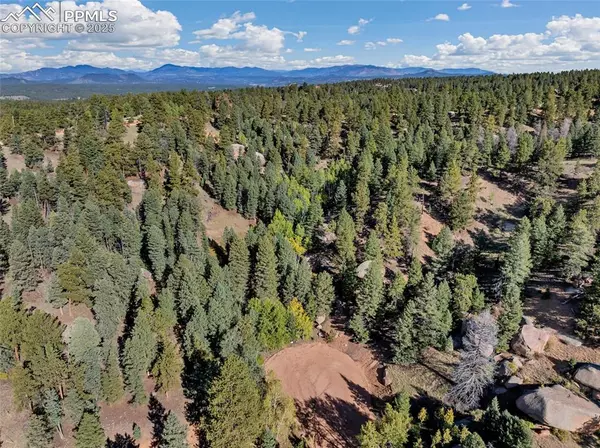 Florissant, CO 80816,926 Pinon LN