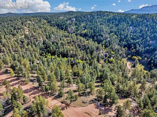 Florissant, CO 80816,926 Pinon LN
