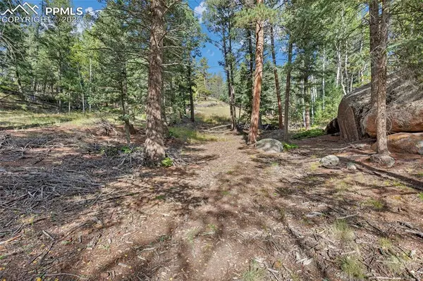 Florissant, CO 80816,926 Pinon LN