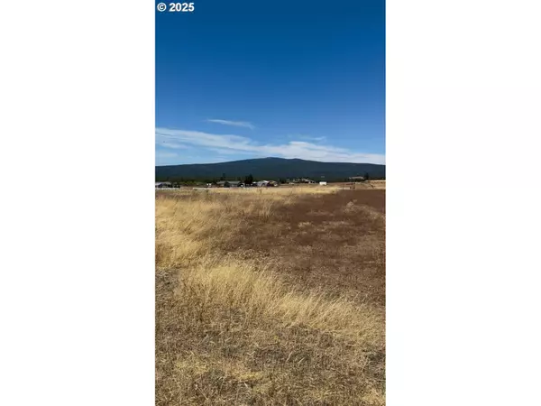 Goldendale, WA 98620,NKA - SARA VIEW LN #2