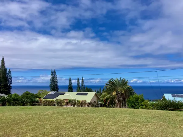 35-173 KIHALANI HOMESTEAD RD, Laupahoehoe, HI 96764