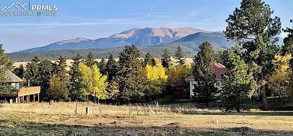 Divide, CO 80814,106 Stephanie PL