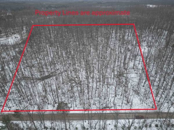 13384 Bartz RD, Hubbard Lake, MI 49747