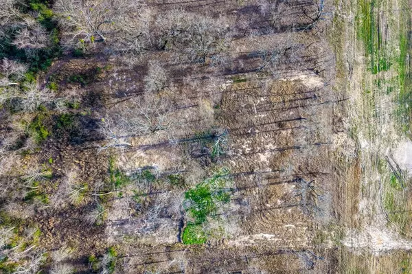 Sulphur Springs, TX 75482,1532 E 301 Loop