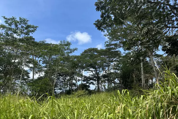 Keaau, HI 96749,TIKI RD