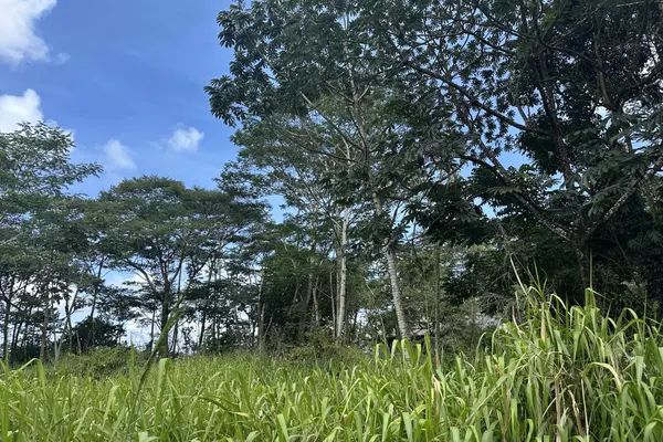 Keaau, HI 96749,TIKI RD