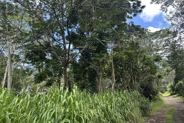 Keaau, HI 96749,TIKI RD