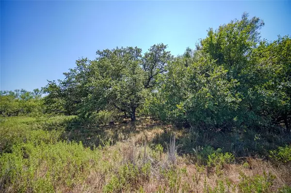 Jacksboro, TX 76458,131.7 Acres Roney Road
