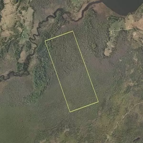 Address Not Disclosed