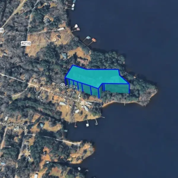 TBD Carene Drive, Frankston, TX 75763