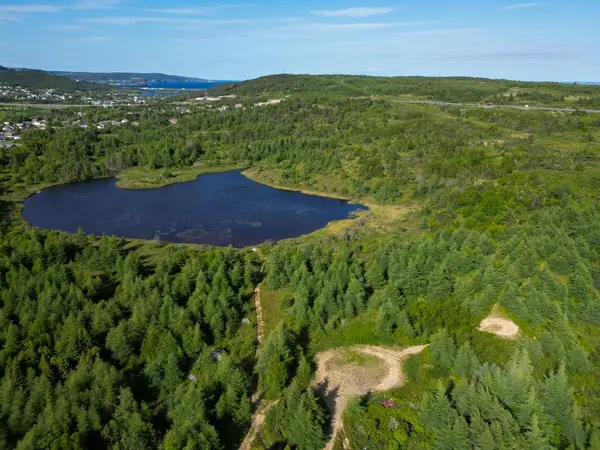 Bay Roberts, NL A0A 1G0,21 Reids Road