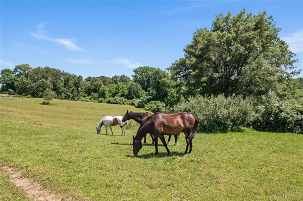 Oxford, MI 48370,5280 Hosner RD