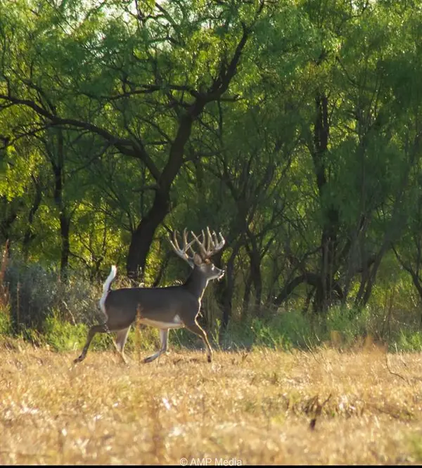 Rule, TX 79547,4538 County Road 463