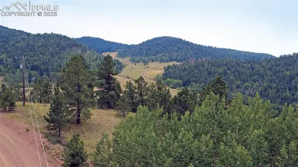 Cripple Creek, CO 80813,726 Copper Mountain DR